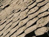 ���������� - ���������� ������� �����������.