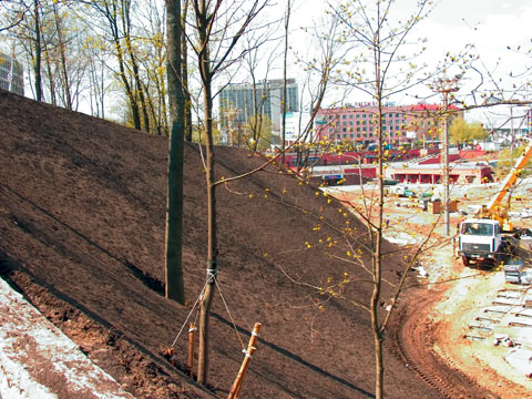 Прорастая корнями трав, георешетка становится неотъемлемой составляющей растительного слоя.